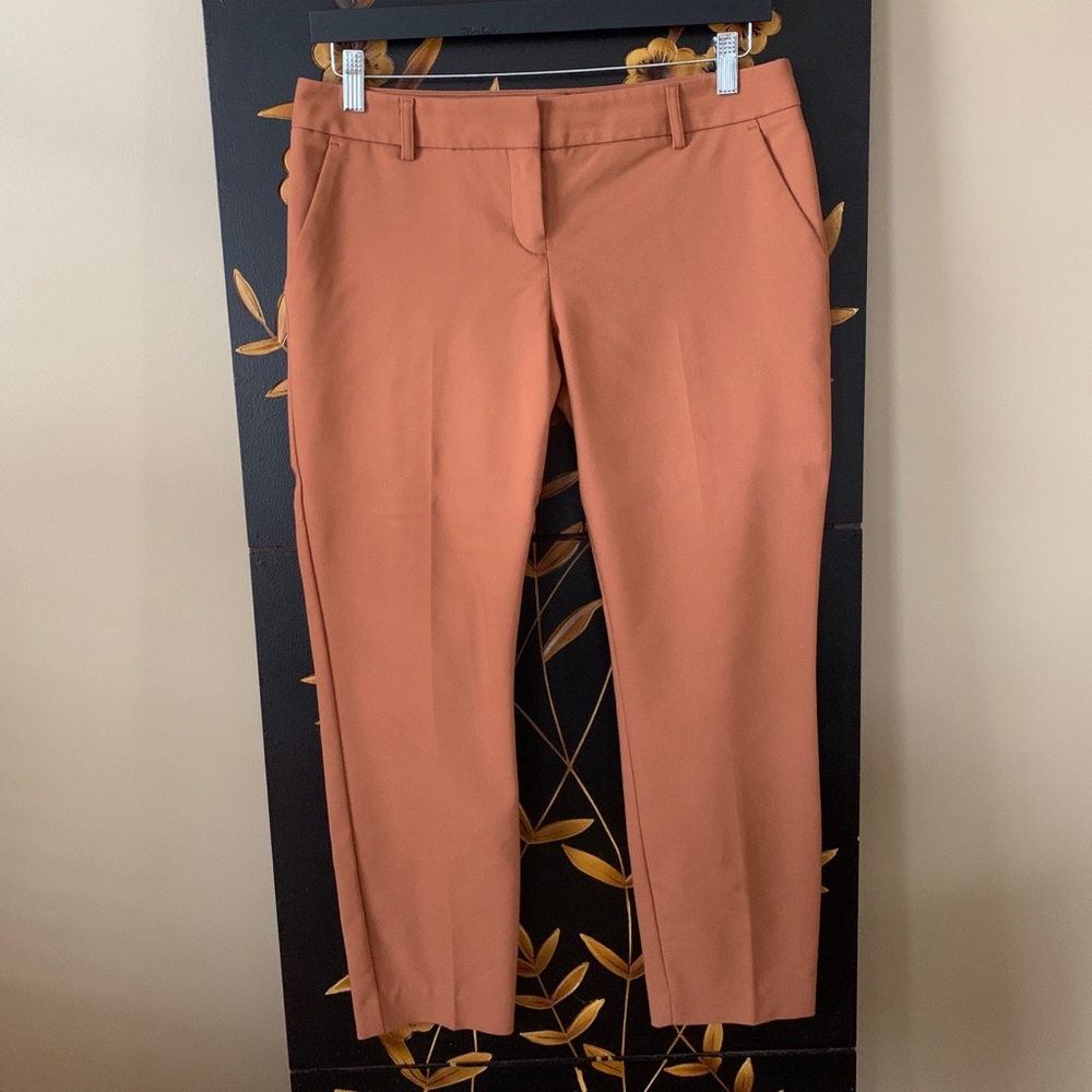 Express Columnist Dress Pants Size 6 Regular